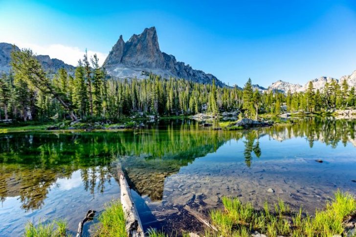 forest hiking destinations in the U.S.