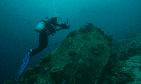 Pexels | Just 1 Breath: Exploring the Depths of Freediving