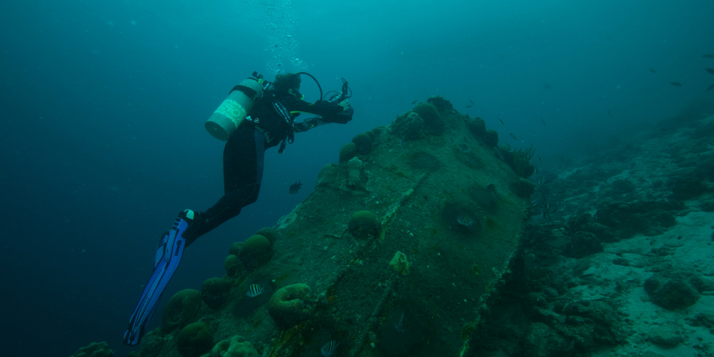 Pexels | Just 1 Breath: Exploring the Depths of Freediving