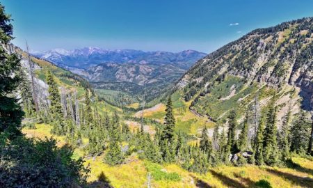 forest hiking destinations in the U.S.